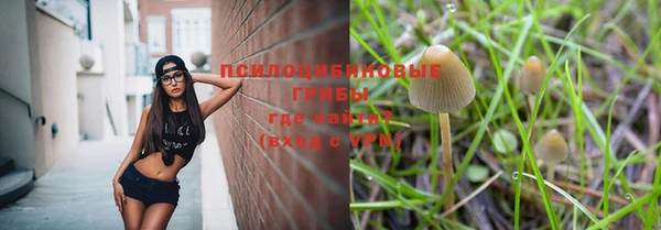 прущая мука Армянск
